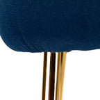 Sedia laterale Quentin Velvet Accent con seduta imbottita, confezione da 2